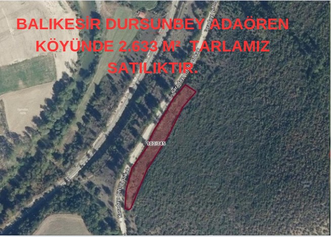  DURSUNBEY ADAÖREN KÖYÜNDE 2.633 M²  TARLAMIZ SATILIKTIR. - BALIKESİR DURSUNBEY fotoğraf 6